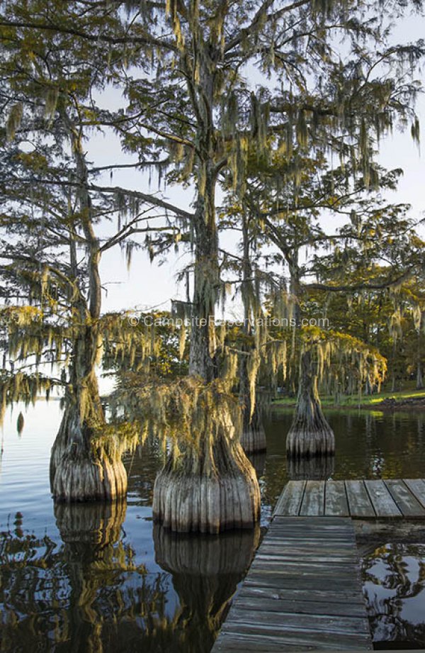 Lake Bruin State Park, Louisiana, United States